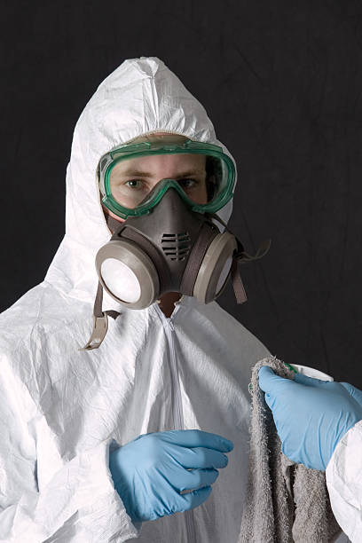 Professional Mold Removal in Dolton, IL